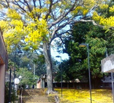 image (8)
