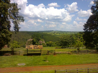 image (3)
