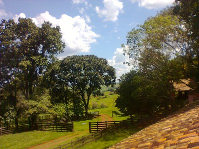 image (4)