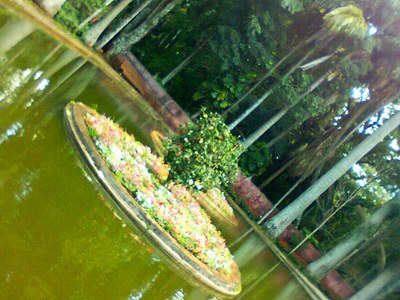image (5)