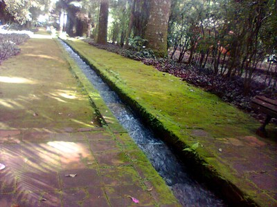 image (6)