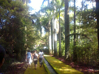 image (7)